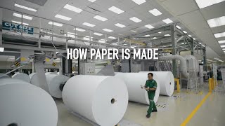 How Paper Is Made [upl. by Sobel543]