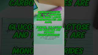 What are monosaccharides monomers monosaccharides freerevision flashcards primrosekitten [upl. by Atipul]