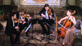 Haydn Reiterquartett Allegro con brio [upl. by Ayhdnas472]