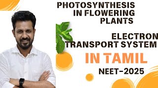 Electron transport system in tamil  photosynthesis in higherplants  NEET 2025 [upl. by Rumpf629]