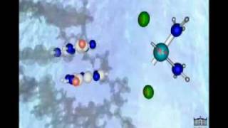 Cisplatin Mechanism of Action [upl. by Alyam919]