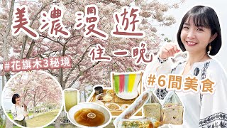 【高雄】再訪美濃一日遊這樣安排！免費賞花旗木3秘境～6間驚艷美食，天然彩色粄條、隱藏版木瓜粄、搶手水蓮吐司、老字號粄條，有夠好吃！田中間的簡約韓系質感民宿，遇見夢想中的家！｜1000步的繽紛台灣 [upl. by Dene]