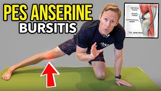 Pes Anserine Bursitis  Knee Rehab Exercises [upl. by Lindemann271]