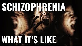 What its like to have schizophrenia [upl. by Kati]