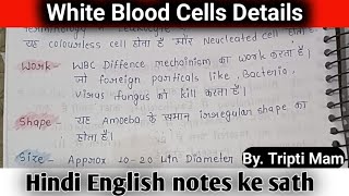 white blood cells in details  Leucocytes  types of WBC  WBC kya hota hai wbcs [upl. by Inohtna]