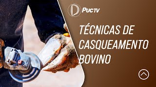 TÉCNICAS DE CASQUEAMENTO BOVINO [upl. by Cummins782]