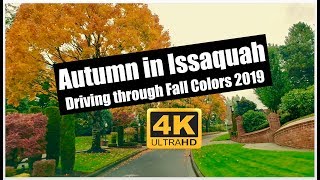 Issaquah Washington Driving through Autumn Colors Northwest Fall Foliage 4K UHD [upl. by Ytsrik]