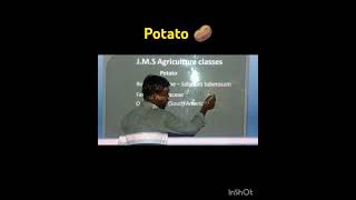 cultivation of potato  आलू की खेती  AFO TA STA Upcatet DHO agriculture education [upl. by Ennyl597]