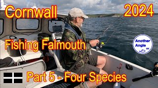 Cornwall 2024  Fishing Falmouth  Part 5  Four Species [upl. by Feodore]