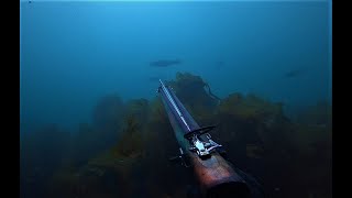 Just Spearfishing  Loch Snizort  Isle of Skye [upl. by Kopans]