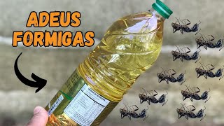 SOLUÇÃO CUSTO ZERO ECONOMIZE SEU DINHEIRO  COMO ACABAR COM FORMIGAS NAS PLANTAS [upl. by Casteel119]