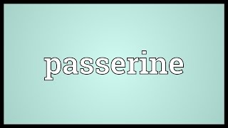 Passerine Meaning [upl. by Burlie428]