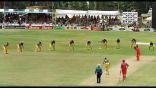 6 aggressive fielding in world cricket [upl. by Erika]