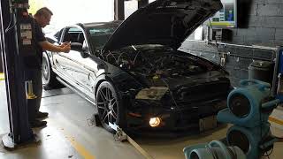 Cammed 2010 Shelby GT500 on the dyno [upl. by Balling826]