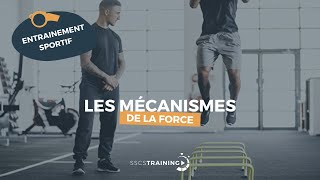 Les mécanismes de la force [upl. by Anile]