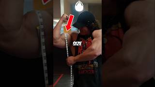 20 INCH Arms Workout 🔥💯 Sam Suleks Arm Day [upl. by Eixam222]