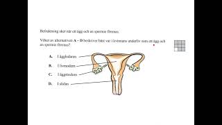 Inför Nationellt prov i biologi åk 9 del 7 sex och samlevnad [upl. by Remington65]