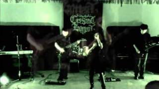 Crescent Lament  Compromised Wills 2010 Live [upl. by Lerud]