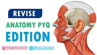 Revise Anatomy PYQ Edition With Dr Kamal K V for upcoming fmge exam [upl. by Pelpel]