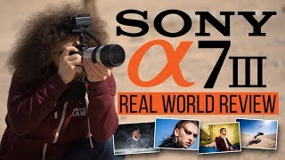 Sony a7 III Real World Review vs Sony a7R III Nikon D850 Canon 6D Mark II [upl. by Inahteb542]