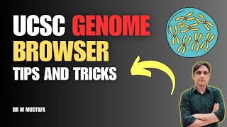 quotMaster the UCSC Genome Browser with this Tutorialquot  Introduction to UCSC genome browser [upl. by Diskin]