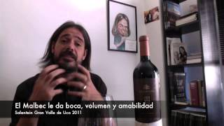 Copados 8 Degustación vino Gran VU Salentein 2011 [upl. by Dnyletak811]