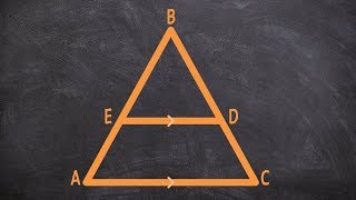 What is the triangle proportionality theorem [upl. by Etom]