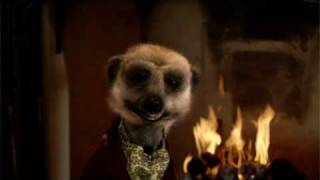 Comparethemeerkatcom TV outtakes [upl. by Julia]