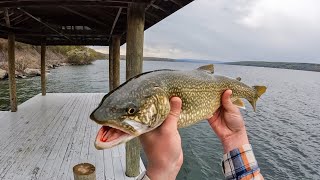 Finger Lakes Shore Fishing [upl. by Liberati]