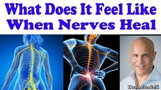 What Does It Feel Like When Nerves Are Healing in Your Body  Dr Alan Mandell DC [upl. by Etnohc]