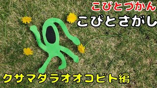 【こびとづかん】クサマダラオオコビトを見つけよう❤️おびきよせ方法あり🎵脱皮した抜け殻を発見！！すごく臭～い！！ [upl. by Ayerim925]