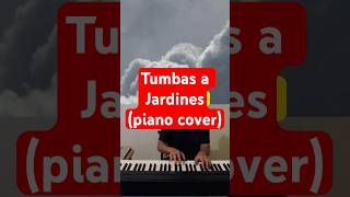 Piano Instrumental  Tumbas a Jardines Graves into Gardens  Elevation Worship shorts piano [upl. by Nilrac850]