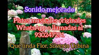 Que linda flor Silverio Urbina Pistas musicales [upl. by Forester]