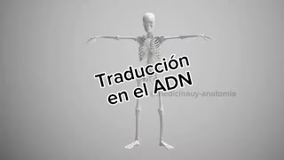 Traducción en el ADN medicinauy [upl. by Rakel]