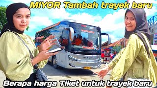 PTBUS MIYOR PERLUAS TRAYEK [upl. by Irt]