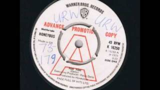 For You  Honeybus 1973 Single [upl. by Alyhc]