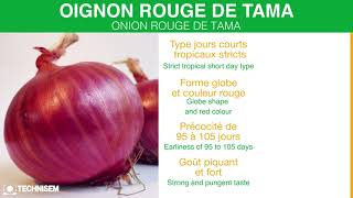 OIGNON ROUGE DE TAMA [upl. by Curtice228]