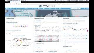 GTEx Portal Introduction to the Gene eQTL Visualizer [upl. by Grodin28]