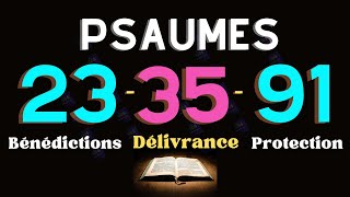 PSAUME 23 35 91  Trois Prières Puissantes Pour Obtenir Abondance Protection et Miracle Divin [upl. by Par]