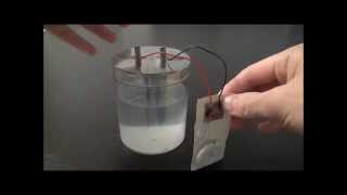 93315 Voltaic Cell Experiment Kit [upl. by Summers]