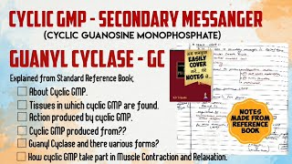 CGMP  Cyclic Guanosine Mono Phosphate  Secondary Messanger knowledgeimprover [upl. by Jablon]