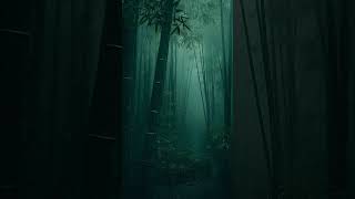 Rainforest Relaxing Piano Music for Deep Sleep [upl. by Ennaear334]