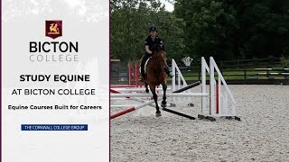 Study Equine  Bicton College [upl. by Oilegor301]