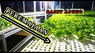 CEK KEBUN HIDROPONIK MALAM HARI PEREMAJAAN DI RAKIT APUNG [upl. by Ainez]