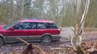 Subaru Outback mud offroad [upl. by Fairley668]