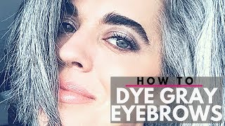 HOW TO DYE GRAY EYEBROWS  DIY  Nikol Johnson [upl. by Zapot]