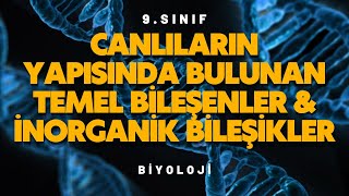 9Sınıf Biyoloji  Canlıların Yapısında Bulunan Temel Bileşenler amp İnorganik Bileşikler [upl. by Anilev]