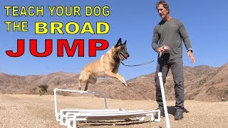 Teach Your DOG the BROAD JUMP  DOG TRAINING VIDEO  Robert Cabral [upl. by Vaclav914]