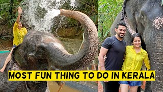 Elephant Bathing In Kerala  Thekkady Vlog Part 2  Two Off To [upl. by Arly950]