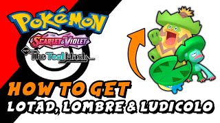 Pokemon Scarlet amp Violet The Teal Mask DLC  How To Get Lotad Lombre amp Ludicolo [upl. by Enaols]